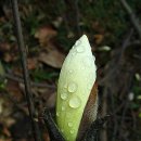 하늘에서 온 선물 이미지