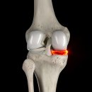 연세온마취통증의학과의원 이미지