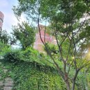 좌동산책길 이미지