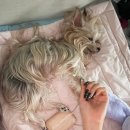 보승약국 | 3월 마지막