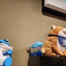 라미도매수산 이미지