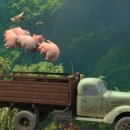 구스베이비 이미지