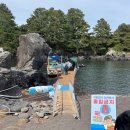 안덕면사무소 앞 | [제주도] 2026.04.10~04.13 3박4일 가성비 넘치는 가족 여행 2일차