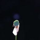 혜산서윈에서... 이미지