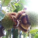 주원농장 이미지