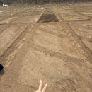 신정농장 | [신정주말농장] 왕초보농부 농장일기1탄 5평 텃밭자리보고 온 날