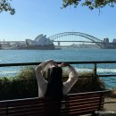 31140-5-42-3 | 시드니 가볼만한곳 로열보타닉가든 피크닉 꿀팁 (+포토존·42도 폭염 현실후기)