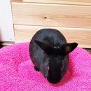 두원실업(주) 이미지