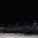 코끼리캠핑장 이미지