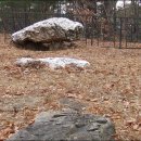 대곶초교 이미지