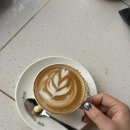 시드니모텔 | [호주여행3] 노숙은 힘들어 (시드니 새해불꽃축제/kickin'inn/시드니박물관/시드니에서 멜버른/tokui...