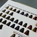 고잔역뒤편 | 고잔동미용실 케이브라운 안산본점 여성 염색 후기