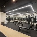 탑 휘트니스 이미지