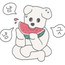 펫살롱 코코 이미지