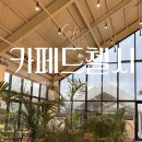 카페드 37-1 | 김포 통진 | 카페드첼시 | 이색적인 드넓은 정원뷰 김포대형카페에서 아이랑 브런치 후기