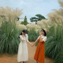 청산정원 이미지