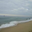 강릉 강문해수욕장 비취 콘서트 알림 이미지