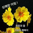 한빛은행 이미지