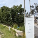 도로변(고척로 209-1) | 강릉 독채 감성숙소 초당 서로소 (협찬XX) 내돈내산 솔직후기