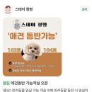 스테이 청명 이미지