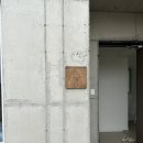온화한가온송 이미지