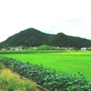 옥산 이미지