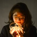 인생관리시스템연구소 이미지