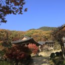 부석사 - 서산시 | 부석사