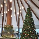 브런치앤숲 이미지