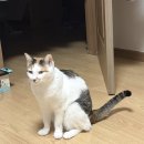 PC천국 | [내돈내산] 아싸컴 조립PC 초기불량 후기, 일주일이 지나도 컴퓨터를 못 받는 이유