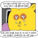 세이투