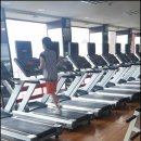 YK휘트니스 네이버블로그