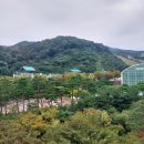 양키캔들광주 | 곤지암리조트 노블C 취사가능 객실 숙박 후기