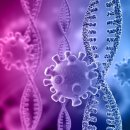 우주모터스 이미지