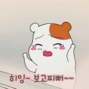 313 이미지