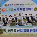 대박판촉