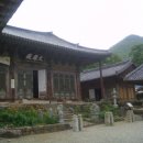 흥국사 - 전남 여수 영취산