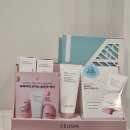 피엠더블유글로벌 주식회사 | [사당/방배 다이어트] 체질 개선 다이어트 셀포랩 밸런스 방문 후기(내장지방 -1)