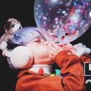 개귀여워 이미지