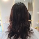 살롱에이치 이미지