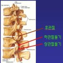 려한의원 이미지