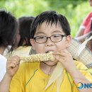 김상경 농장 이미지