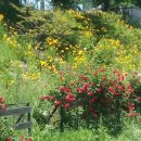 시영약국 이미지