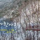 보은중앙약국 이미지