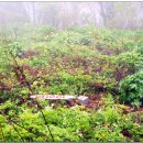 홍천1교 이미지