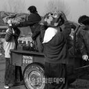 장터이야기 이미지