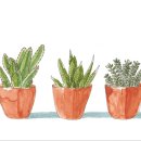 송대로R 이미지