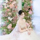 보니타디자인 이미지