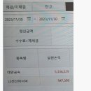 11월 21일 추천주 노루페인트우,태양금속우 수익인증 이미지