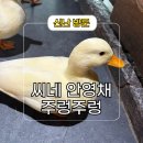 주렁주렁